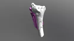 00366O