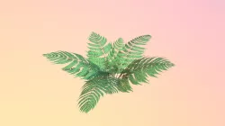 Accepted: Woodland Fern (Dryopteris intermedia)