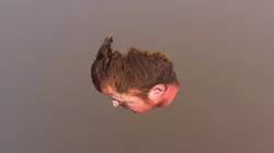 Adam Face FBX