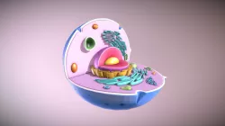 Animal Cell