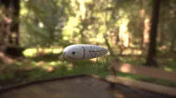 Asesinator bait