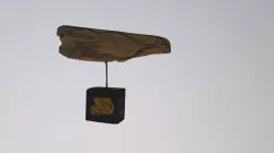 Balena