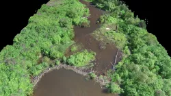 Bellamy Beaver Dams
