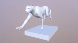 Cheetah