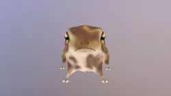 Desert Rain Frog Low Poly
