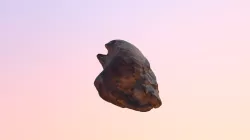 Fossil Clam