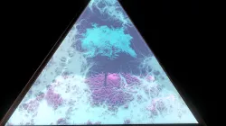 Freeze