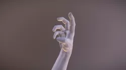 Hand Study