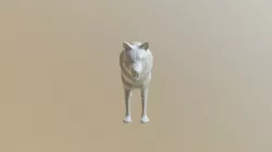 ice wolf beta