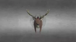 McGrath Deer