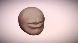 Mouth model