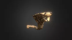 Naja Model - NAC1