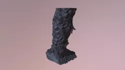 Palm Solidify