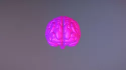 Phils Brain
