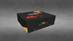 Pizzadina