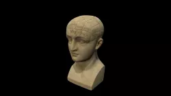 Plaster phrenological bust, London, 1821