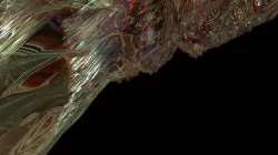 render