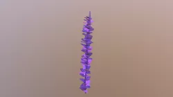Seaweed Asset