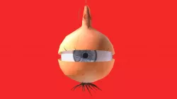 Sebula