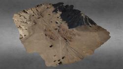 fipfap shimales 3D Models | Page 1 | STLFinder
