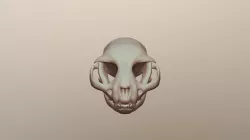 Skull Variation: Cat Skull