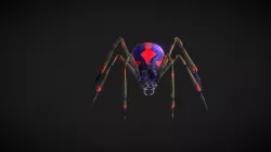 Spider