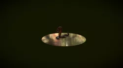 SWAMP SNAKE