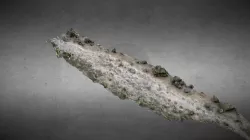 Yacimiento icnitas río Cabra