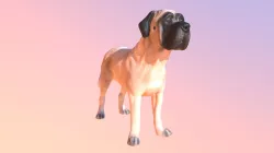 1803003-Mastiff
