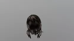 3d Black Polygon Hair