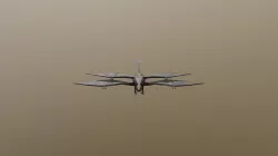 4 Wing Creature