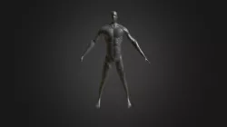 Anatomia