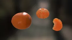 Clementine Study