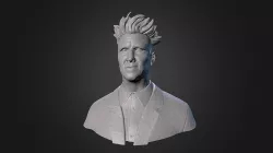David Bust