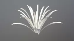 Desert Plant 1