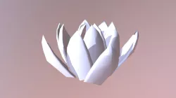 Desert Plant 2