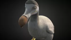 Dodo [ Extinct Bird ]