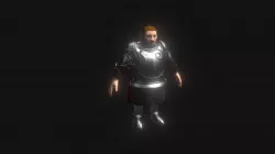 Dwarf Paladin