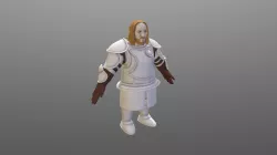 Dwarf Paladin V1