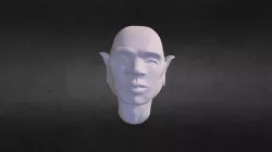 Face