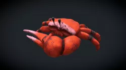 Fiddler Crab