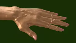 Hand Study