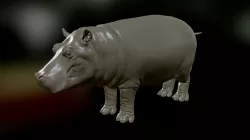 Hippo Test
