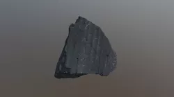 Lepidodendron fossil (VCU_3D_3005)