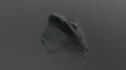 Lepidodendron Fossil (VCU_3D_3006)