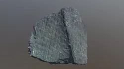 Lepidodendron fossil (VCU_3D_3007)