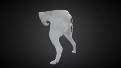 Nala - Back Legs (Monochrome)