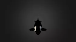 Orca