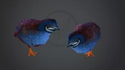 Quails