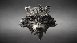 Raccon